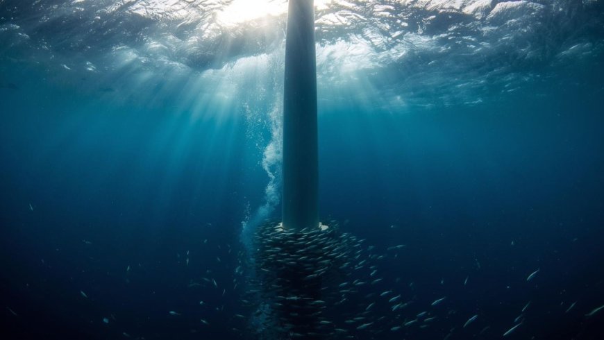They built wind turbines to produce power — and under the ocean, they “create” something nobody talks about