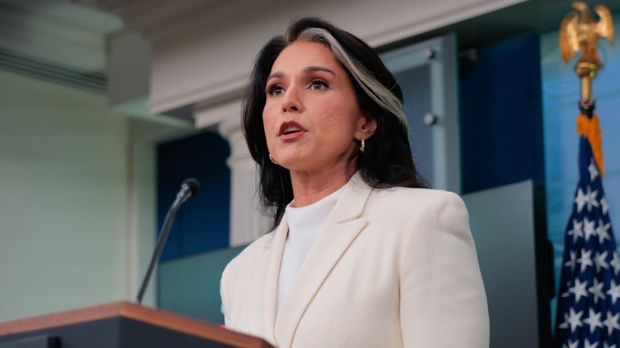 Tulsi Gabbard denies wrongdoing over delayed whistleblower complaint referral to Congress members: 'Baseless'