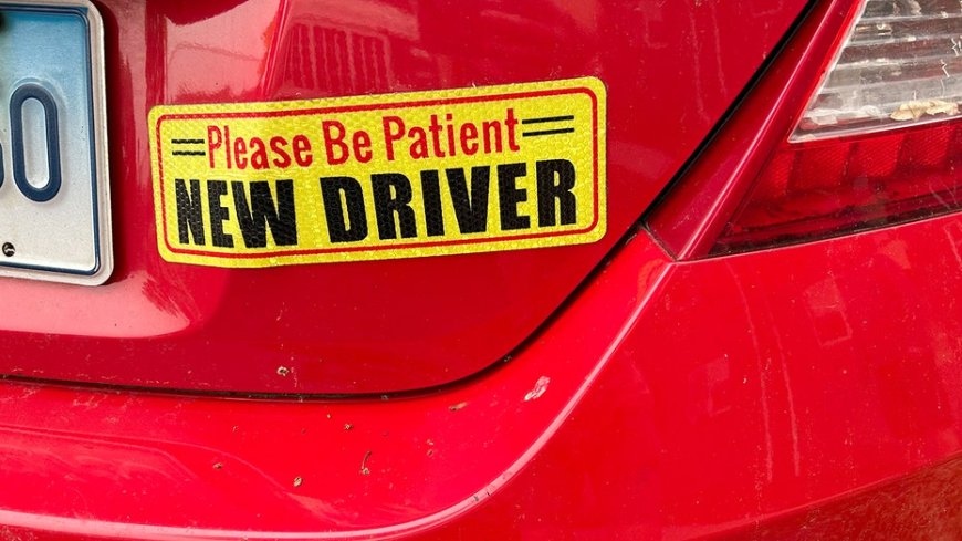 Florida driver's license tests now only given in English