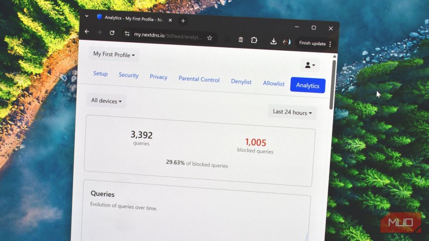 This is the best DNS I've used—and it's not because it's fast
