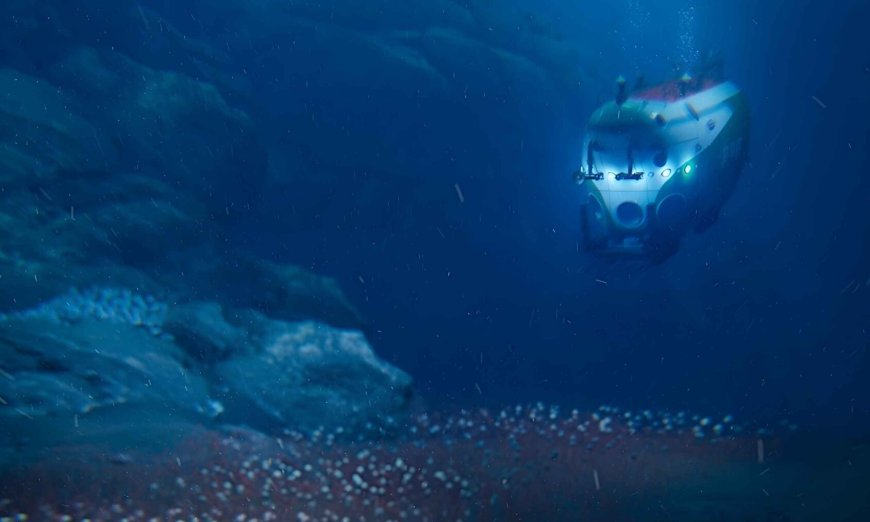 Science has just discovered “oases” of clams and tube worms at a depth of 9,533 meters, where sunlight does not exist and yet life thrives in abundance