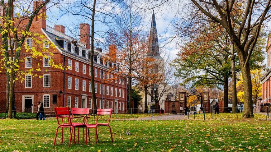 Harvard faculty committee suggests capping A's in proposed internal ranking system