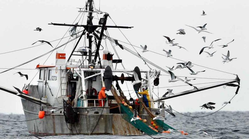 American seafood is national security — and Washington is failing fishermen