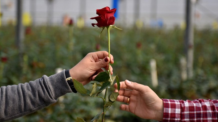 Fox News Poll: Beyond red vs. blue, finding me + you across the political divide