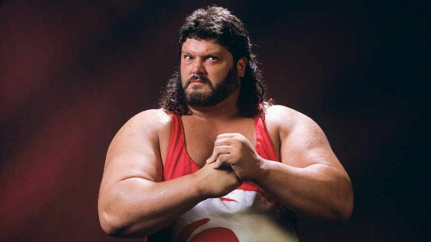 WWE legend reveals harrowing health battle: 'It’s been a fight'