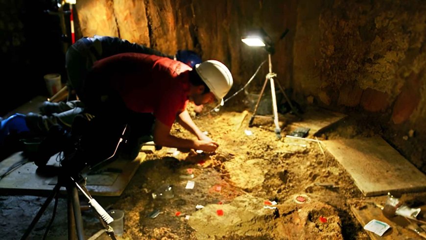 270,000 seashells found in a 5,000-year-old female grave reveal what female power was like in the Copper Age, leaving scientists speechless