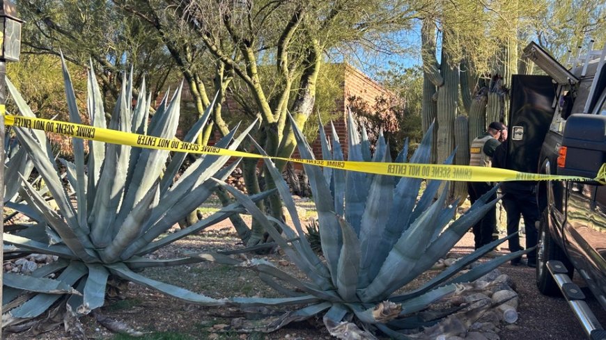 Nancy Guthrie case: All of the properties searched by authorities since disappearance