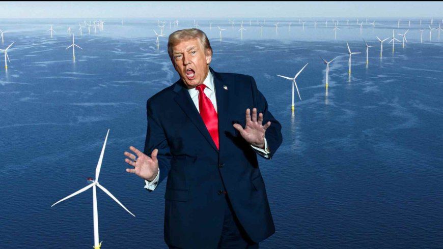 Trump lashed out at European wind turbines. Now Denmark and other countries want more wind energy