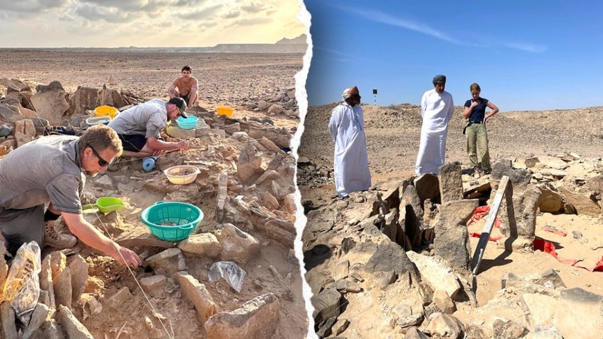 Ancient humans were hunting and eating sharks 7,000 years ago, burial site discovery shows