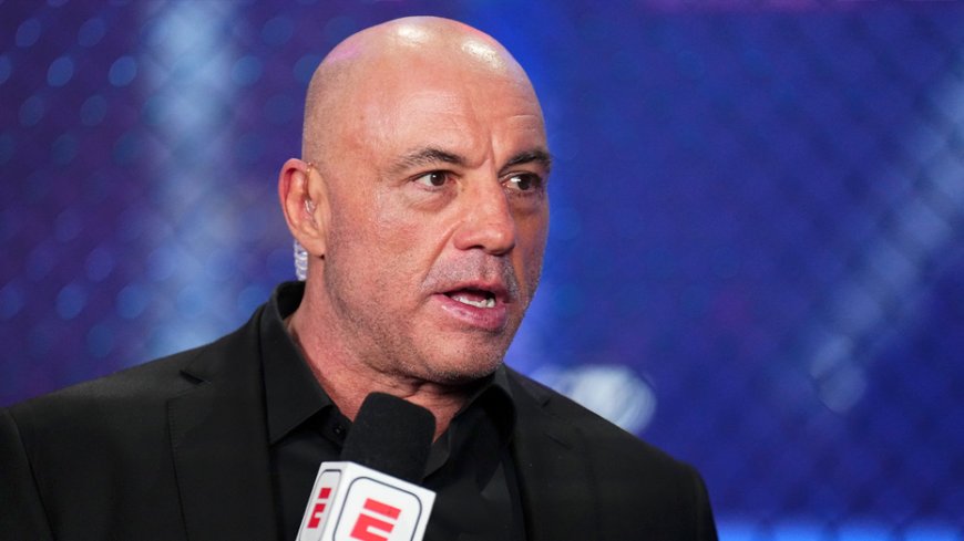 Rogan defends Democratic senator who faced backlash from party for supporting voter ID