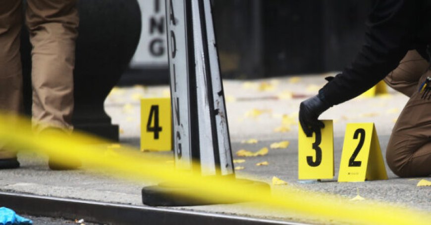 Media Mute as Murder Drops Amid Trump's Deportation Drive