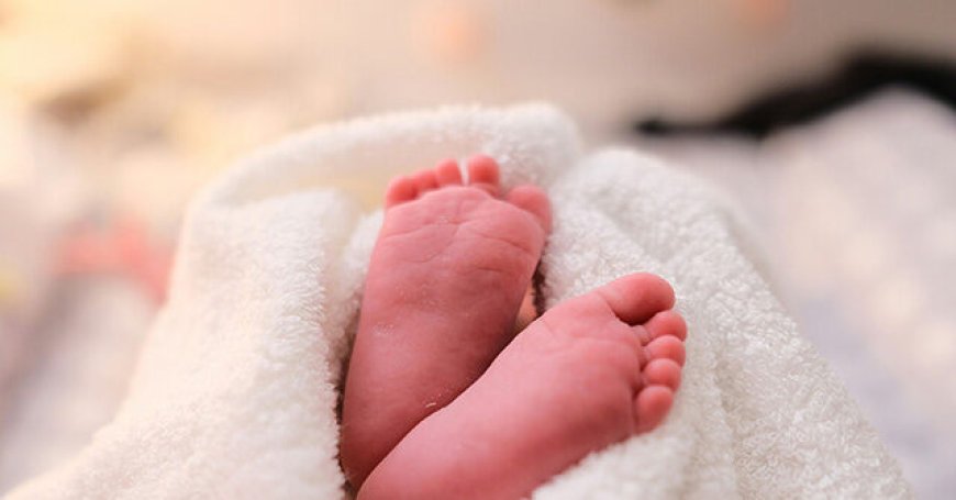 Newborn Baby Found Dead Near Dumpster in California