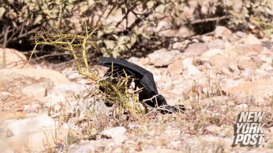 Nancy Guthrie case investigators find black gloves near roadside