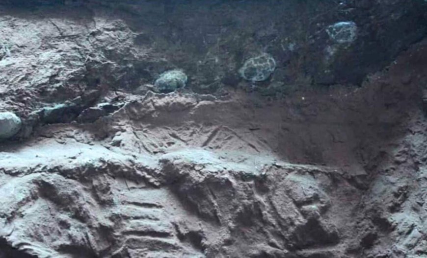 Dinosaur Eggs the Size of Cannonballs Were Discovered Packed With Massive Crystals Instead of Fossilized Bones