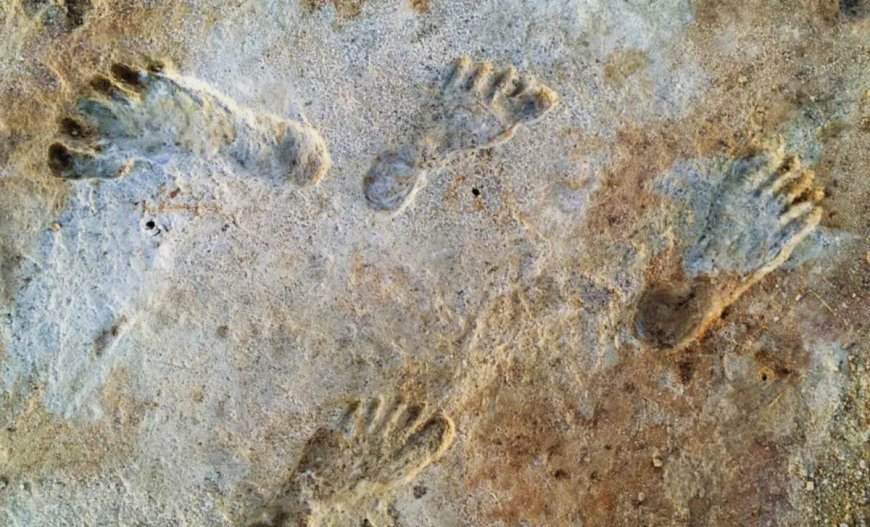 Scientists Have Discovered Ancient Human Footprints Buried in Remote Desert Sands