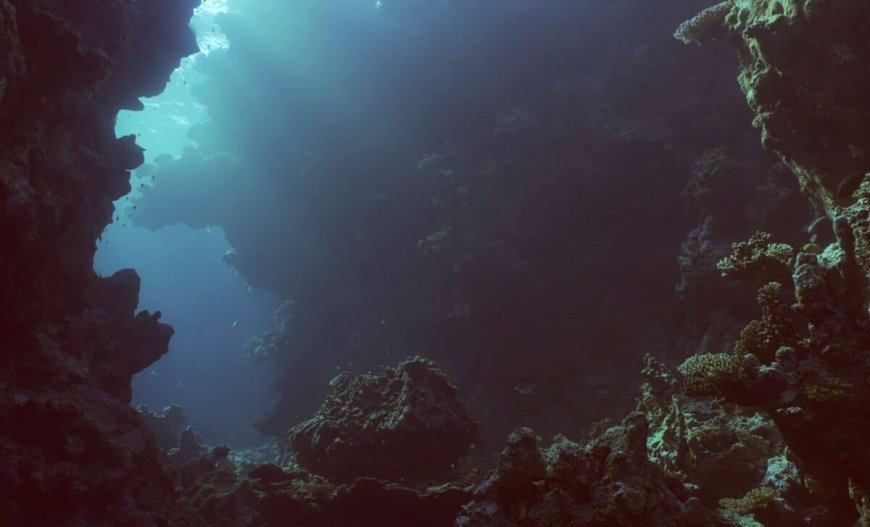 A Chinese Team Found Something Incredible 10,000 Meters Below the Ocean, Here’s What What They Discovered