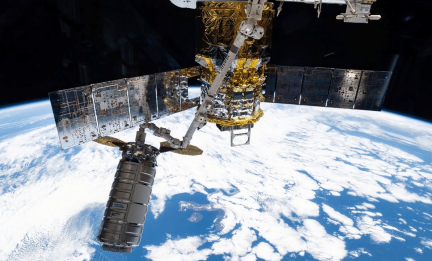 NASA’s Expedition 74: A Step Closer to Unlocking the Mysteries of Space Health