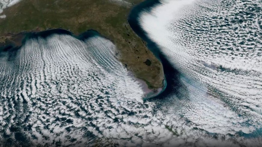 'Cloud streets' stream from the Florida coast | Space photo of the day for Feb. 12, 2026