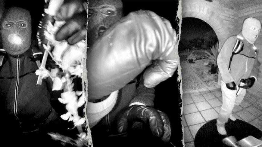 Sheriff disputes viral 911 call reporting key evidence found in Nancy Guthrie disappearance