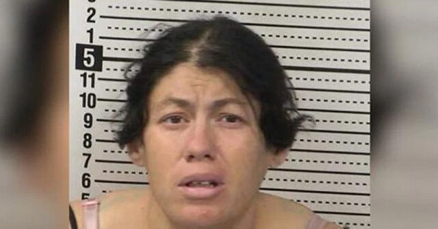 New Mexico Woman Accused of Discarding Newborn Baby Girl in Portable Toilet