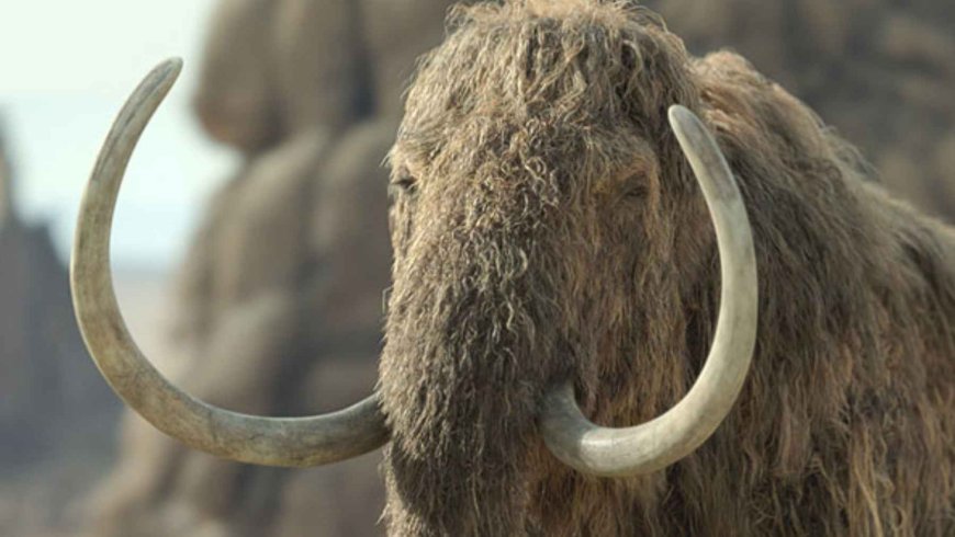 The 75-ton Argentinosaurus could not run at all, and the study states that they were slow and heavy and barely exceeded 6 miles per hour