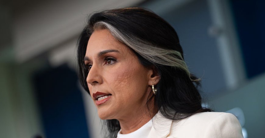 Tulsi Gabbard Celebrates One Year as Director of National Intelligence Protecting American Security, Unraveling Deep State