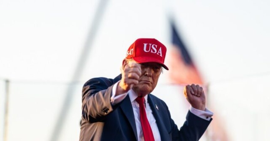 Report: Record Number of Illegal Aliens Self-Deporting U.S. Under Trump