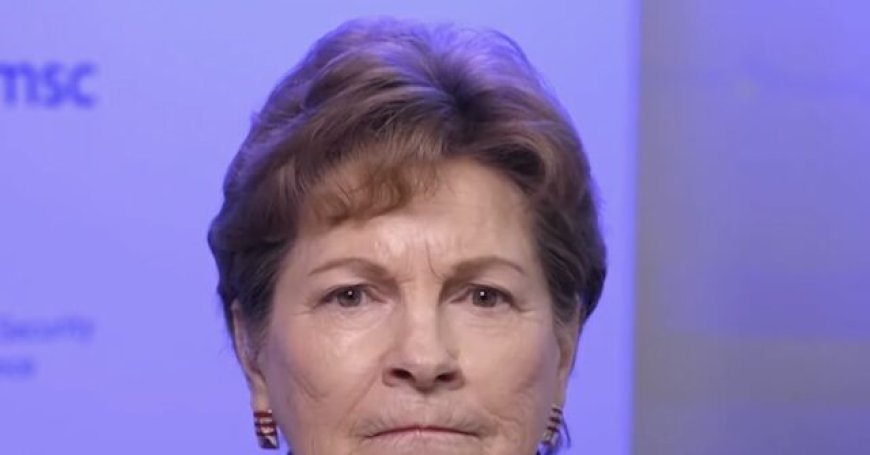 Dem Sen. Shaheen: Reform Must Stop ICE from 'Terrorizing American Citizens'