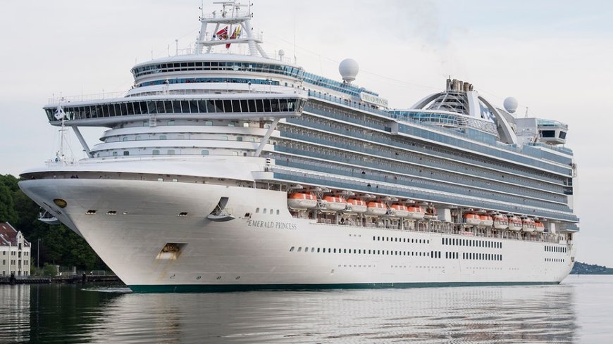 Woman owes $3,556 for cruise she already paid for after falling victim to elaborate Zelle scam
