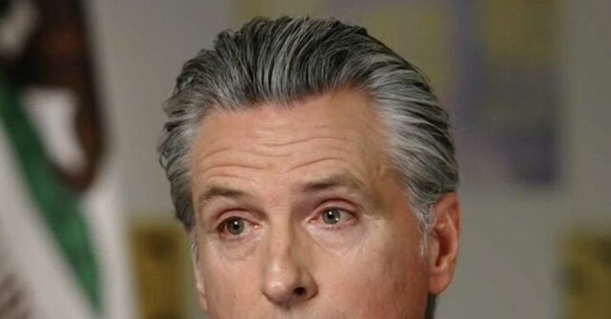 Newsom: 'Trump Does Not Represent the Majority of Americans'