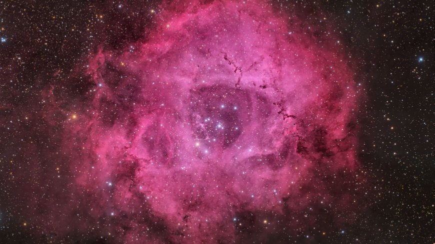 Single this Valentine's Day? Don't worry, the universe has a rose just for you (photo)