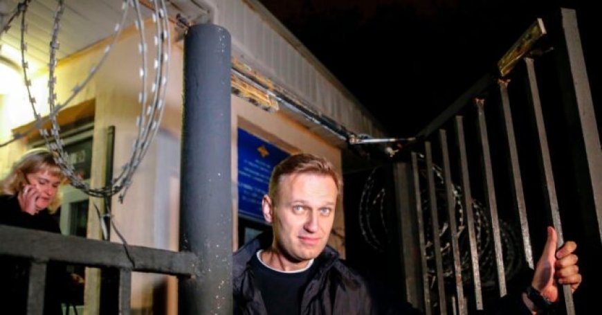 Five European Nations Accuse Kremlin of Poisoning Opposition Leader Navalny with Frog Toxin