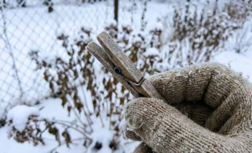 Our Grandparents Did This Every Winter. Now Experts Say This Little Clothespin Fights Back Against Brutal Cold