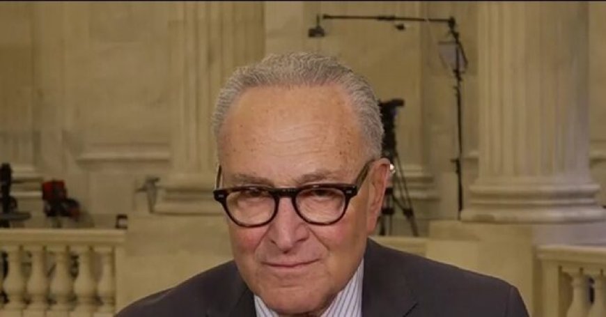 Schumer: 'MAGA Right' Doesn't Want Poor People or People of Color to Vote