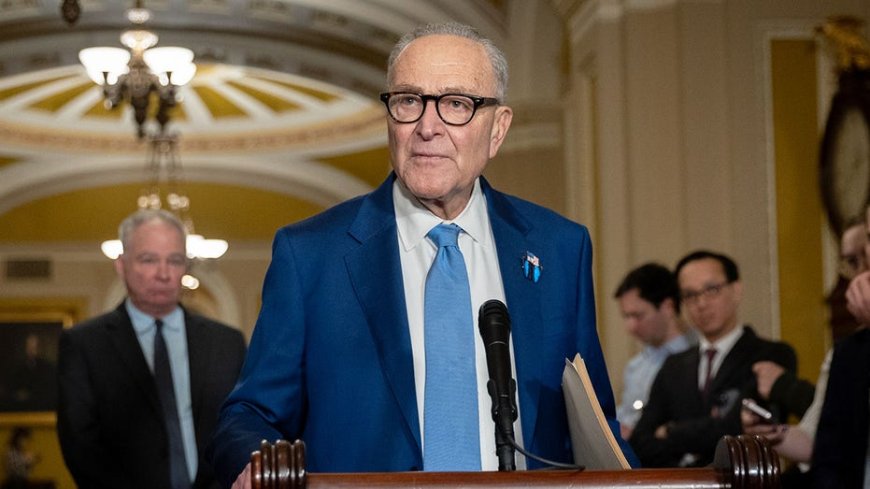 Schumer says Dems will fight voter ID push 'tooth and nail,' balks at DHS role in elections