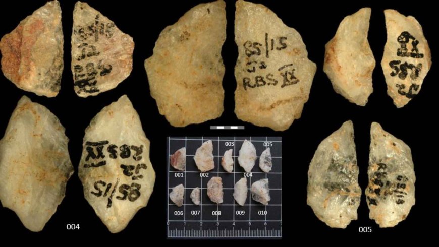 60,000-year-old poisoned arrows discovered in South Africa reveal that early humans mastered lethal chemistry long before agriculture or writing