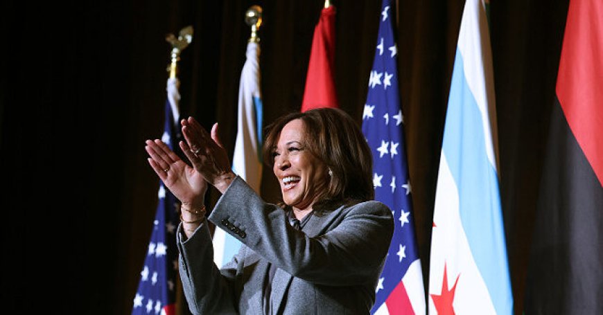 Kamala Harris Polling Average Leads in 2028 Democrat Primary Presidential Polls