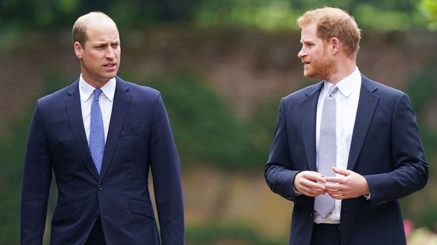 Prince William deliberately distanced himself from Prince Harry as he prepares for the throne: butler