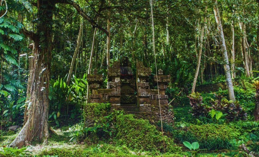 Archaeologists Just Unearthed a 5,000-Year-Old Fortress Hiding Deep in the Forest of Romania