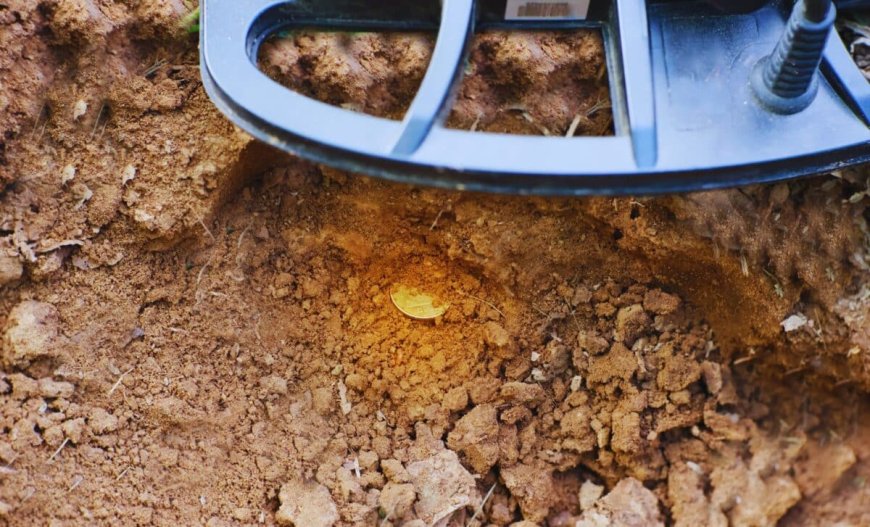 History Professor Stumbles Upon A Massive Gold Coin Hoard In A Field, Thanks To His Metal Detector