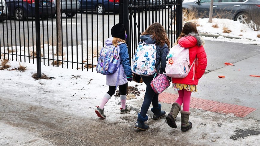 Illinois district where faculty celebrated Charlie Kirk's death exposed over racial 'segregation' plan