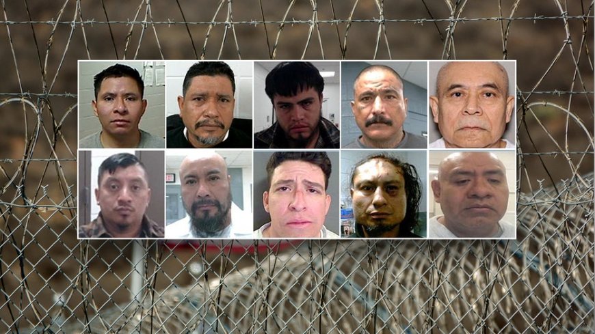 ICE sweeps up convicted pedophiles, traffickers in massive holiday weekend sting: 'Worst of the worst'