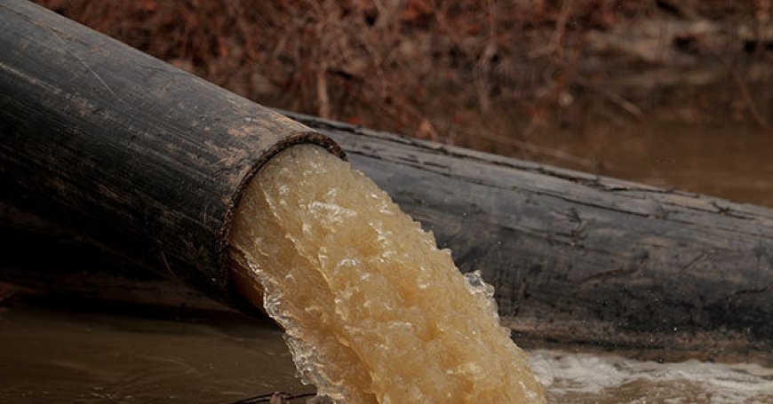 Trump Directs Federal Officials to Get Involved in Potomac River Sewage Crisis: 'Massive Ecological Disaster'