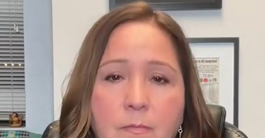 Grijalva: GOP's Shutting Down DHS, I Want ICE 'Dismantled'