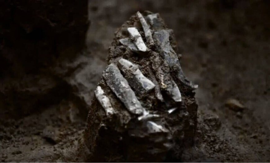 Buried for 30,000 Years, One Ice Age Traveler’s Toolkit Is Altering Human History