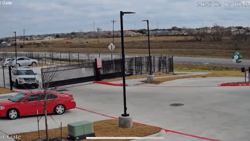 Dramatic video shows gunman opening fire during car repo in Texas, suspect arrested after bullet hits SUV