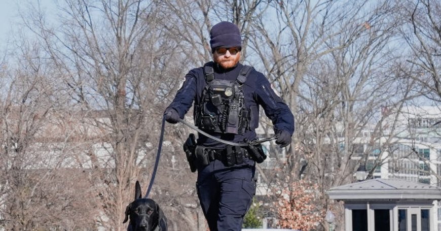 DC Police: Man with Shotgun Runs Toward Capitol, Gets Arrested
