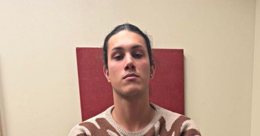 Illegal Alien Accused of Randomly Trying to Drown Woman at Florida Beach