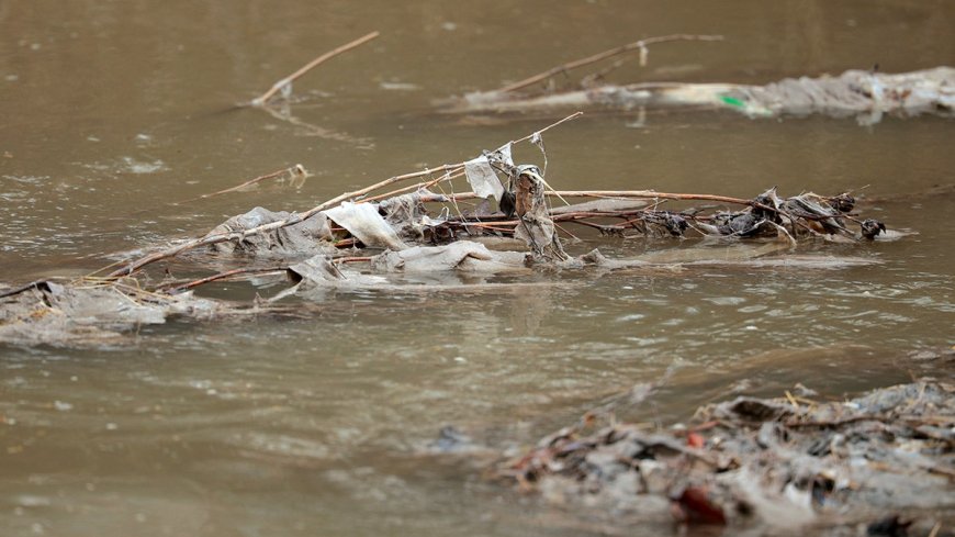Green rhetoric, polluted water: The Left’s DC sewage failure is a disgrace