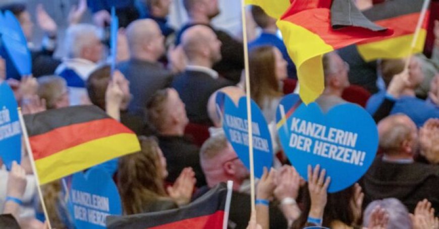Germany: AfD State Branch Officially Classified as 'Right-Wing Extremist' Group over Migration Positions